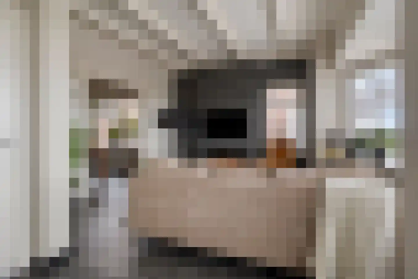 Doorsneeweg 35 Nieuwe Pekela thumbnail 9