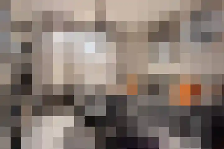 Doorsnijding 1 Hollandscheveld thumbnail 10