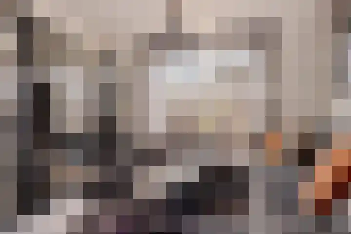 Doorsnijding 1 Hollandscheveld thumbnail 11