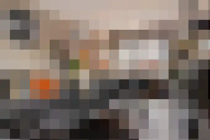 Doorsnijding 1 Hollandscheveld thumbnail 12