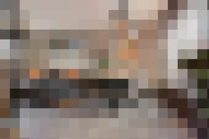 Doorsnijding 1 Hollandscheveld thumbnail 14