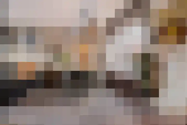 Doorsnijding 1 Hollandscheveld thumbnail 15