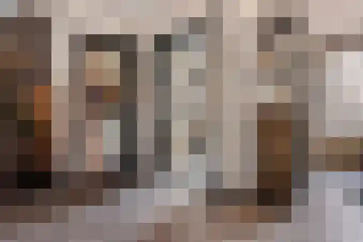 Doorsnijding 1 Hollandscheveld thumbnail 16