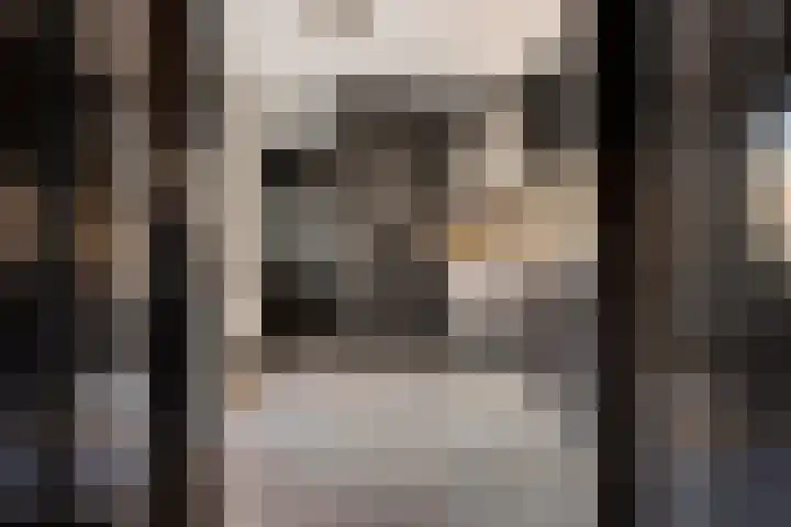 Doorsnijding 1 Hollandscheveld thumbnail 17