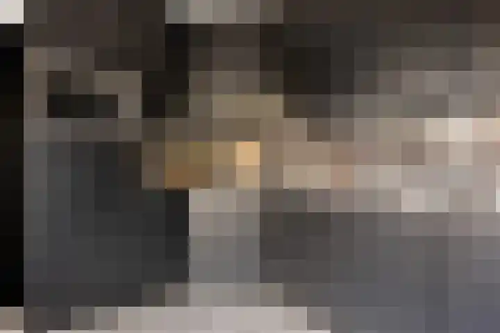 Doorsnijding 1 Hollandscheveld thumbnail 20