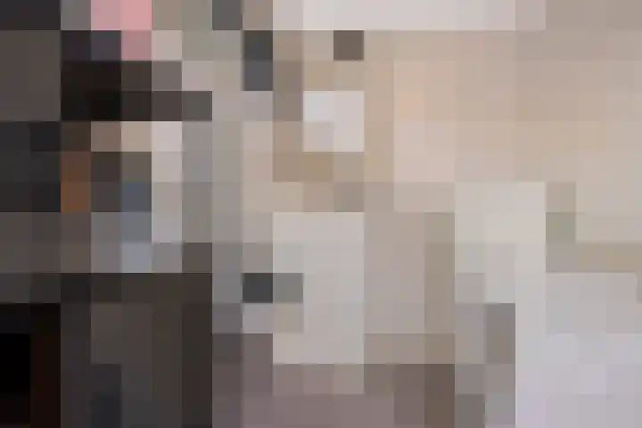 Doorsnijding 1 Hollandscheveld thumbnail 21