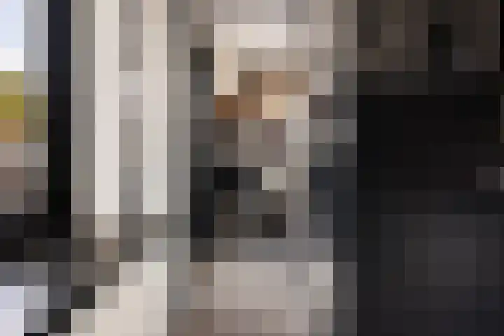 Doorsnijding 1 Hollandscheveld thumbnail 23