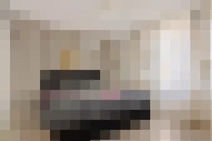 Doorsnijding 1 Hollandscheveld thumbnail 24