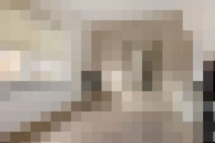 Doorsnijding 1 Hollandscheveld thumbnail 25
