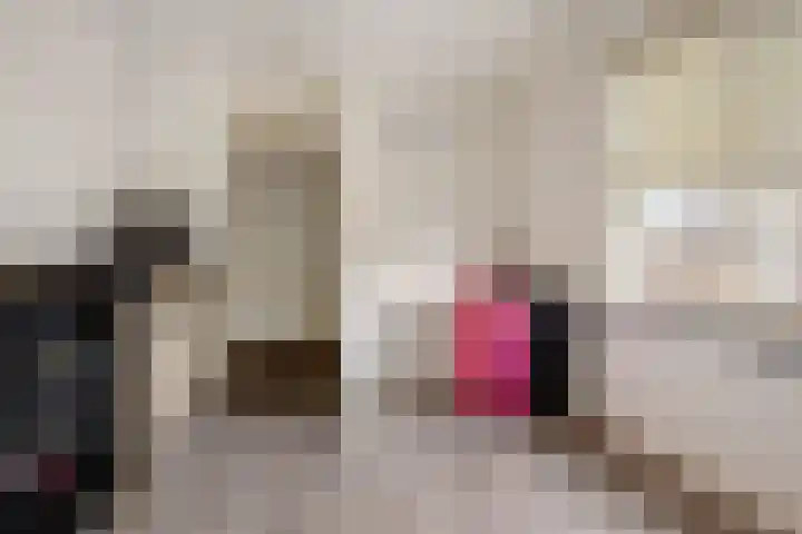 Doorsnijding 1 Hollandscheveld thumbnail 26