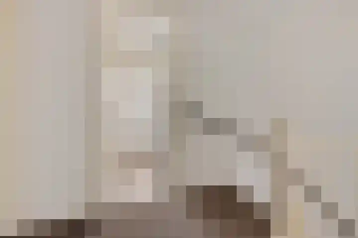 Doorsnijding 1 Hollandscheveld thumbnail 29