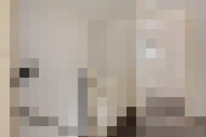 Doorsnijding 1 Hollandscheveld thumbnail 31