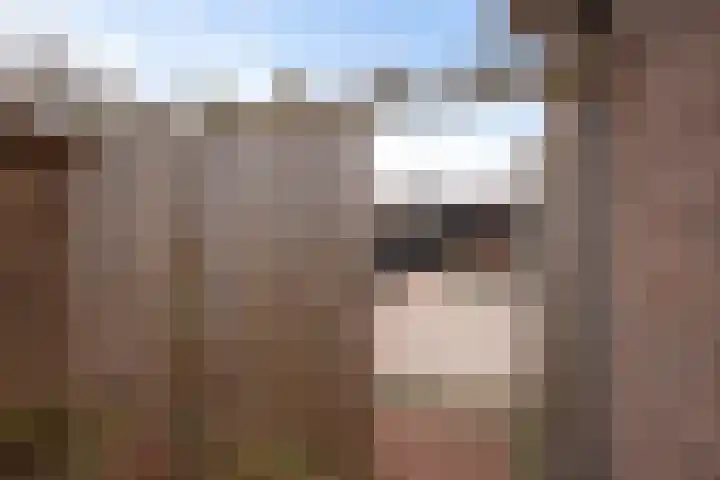 Doorsnijding 1 Hollandscheveld thumbnail 44