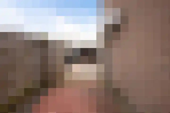 Doorsnijding 1 Hollandscheveld thumbnail 46