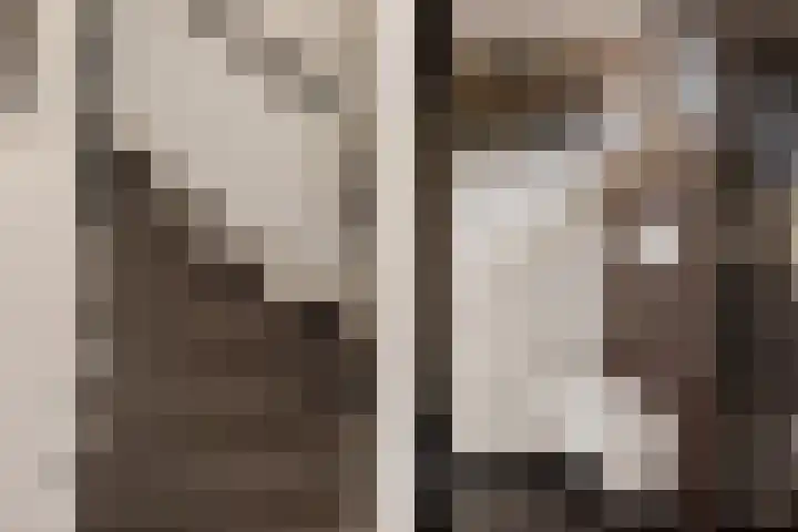 Doorsnijding 1 Hollandscheveld thumbnail 5