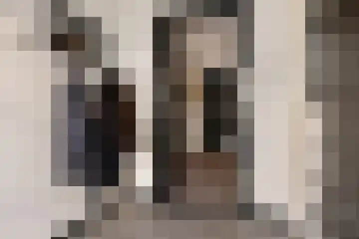Doorsnijding 1 Hollandscheveld thumbnail 9