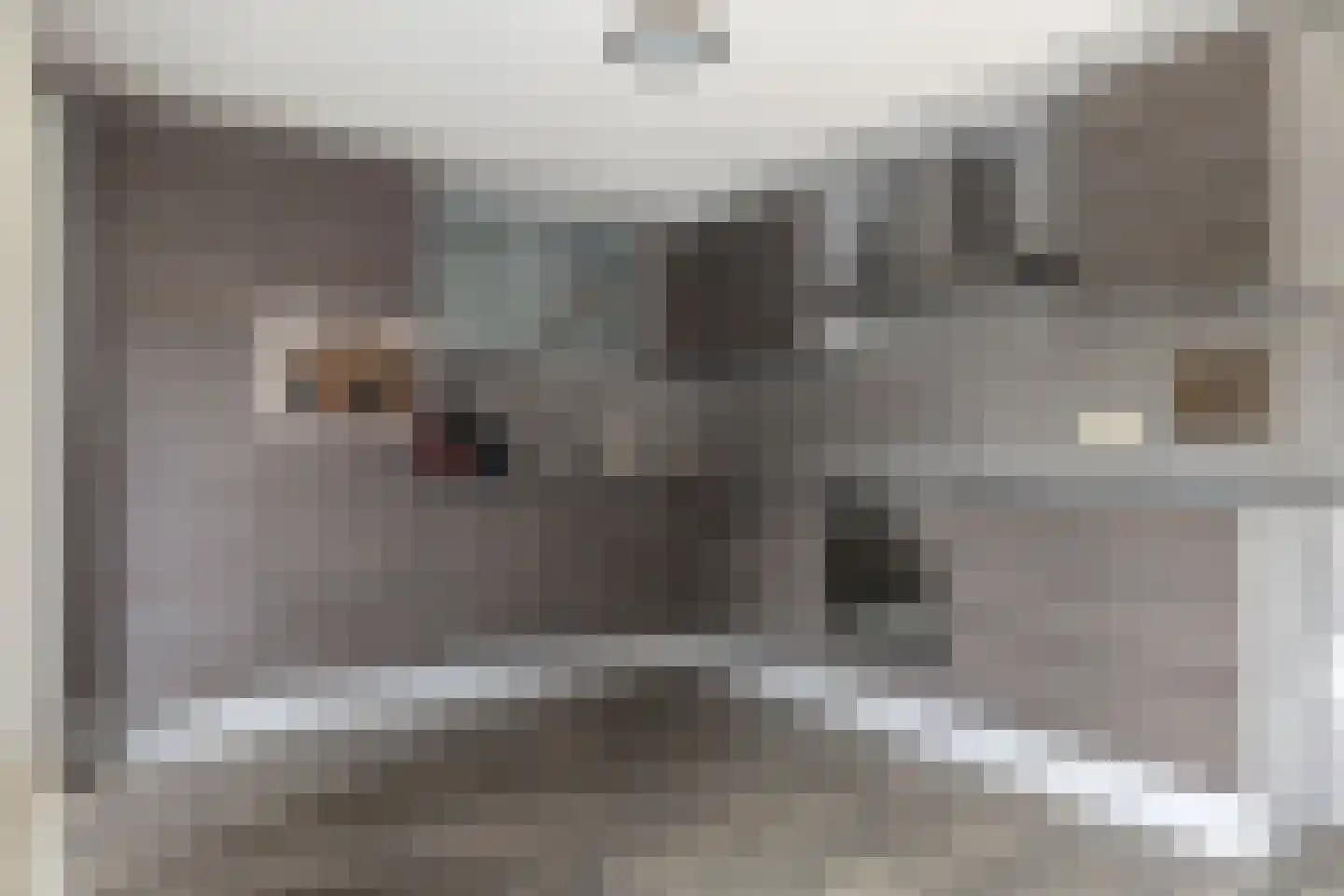 Doorsteek 4 Veenoord thumbnail 17