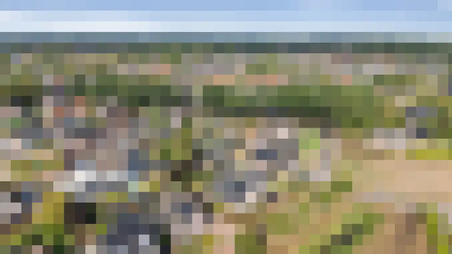 Doorsteek 4 Veenoord thumbnail 44