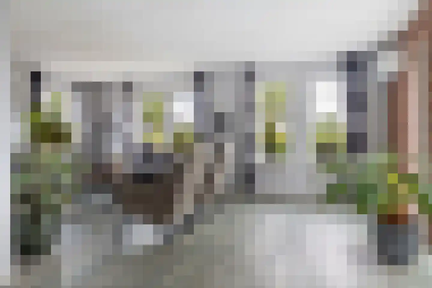Doorsteek 4 Veenoord thumbnail 8