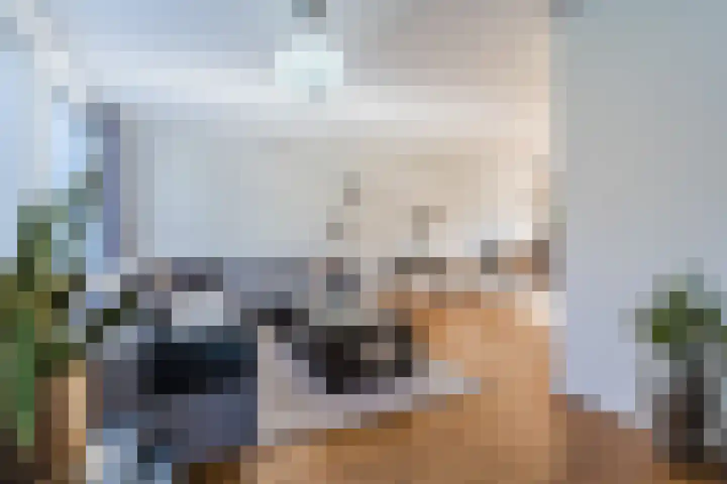 Doortje van de Konijnenberglaan 20 Heeze thumbnail 13