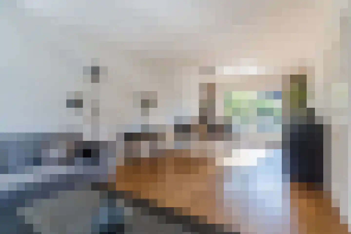 Doortje van de Konijnenberglaan 20 Heeze thumbnail 14