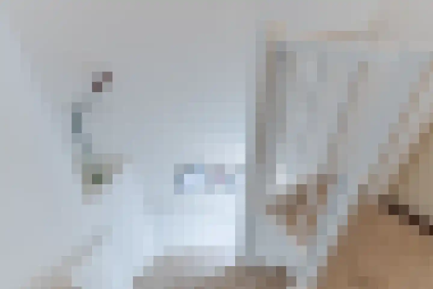 Doortje van de Konijnenberglaan 20 Heeze thumbnail 27