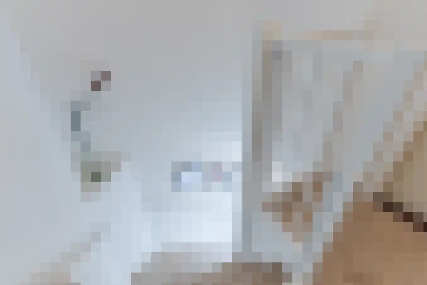 Doortje van de Konijnenberglaan 20 Heeze thumbnail 27