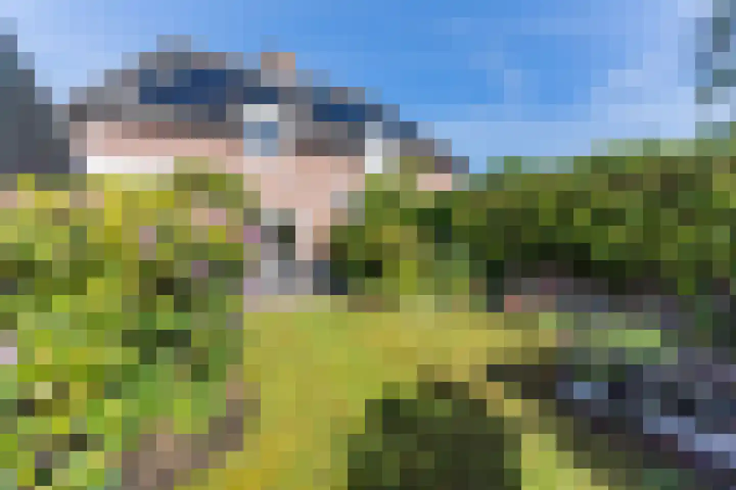 Doortje van de Konijnenberglaan 20 Heeze thumbnail 47