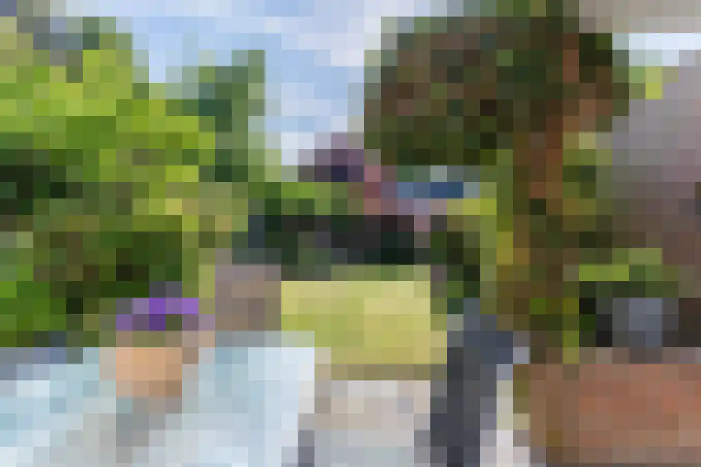 Doortje van de Konijnenberglaan 20 Heeze thumbnail 50