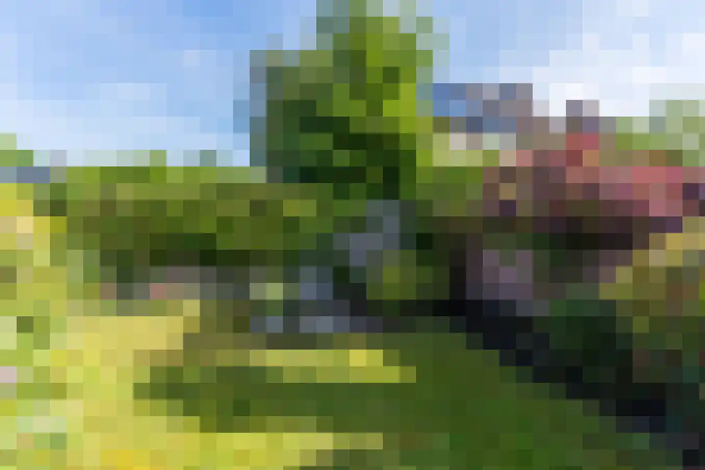 Doortje van de Konijnenberglaan 20 Heeze thumbnail 52
