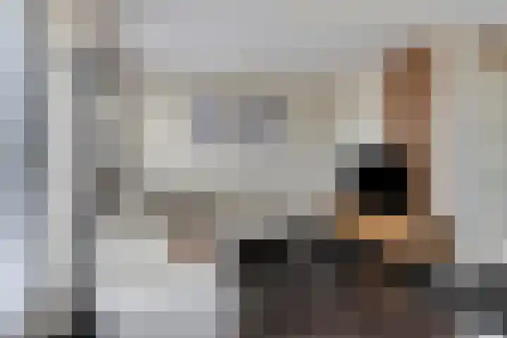 Doortocht 39 Nieuwerkerk aan den IJssel thumbnail 8
