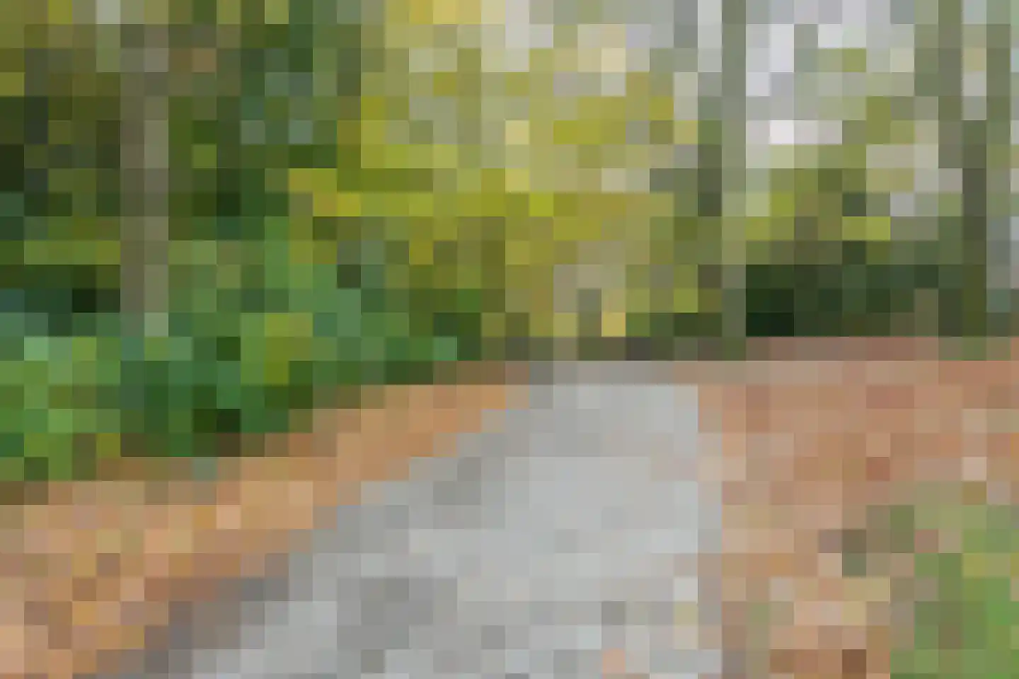Doorvaartstraat 41 Brunssum thumbnail 39