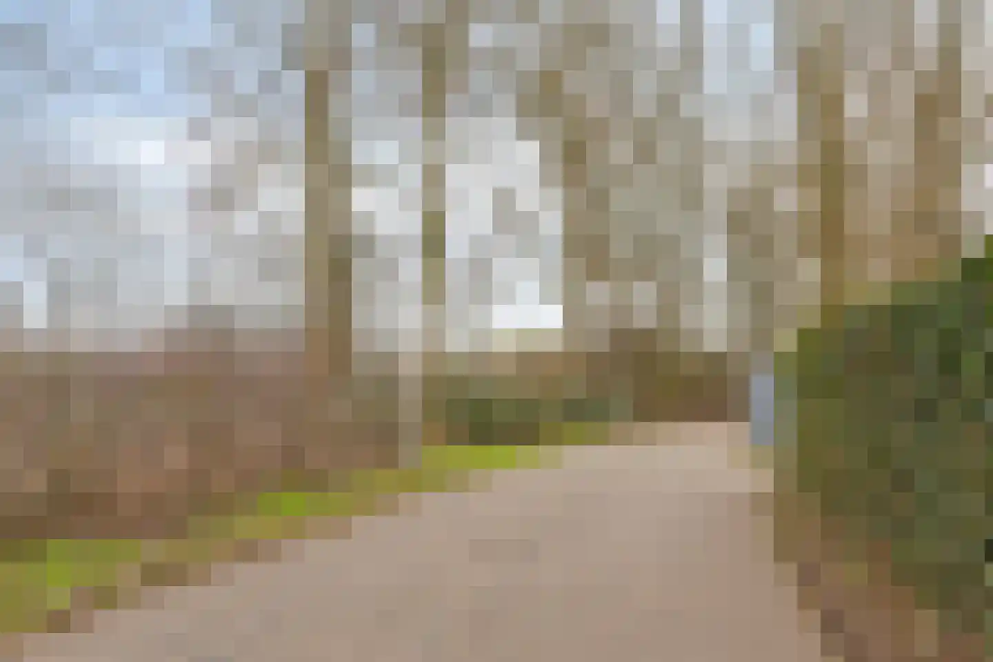 Doorwerthlaan 35 3 Arnhem thumbnail 41