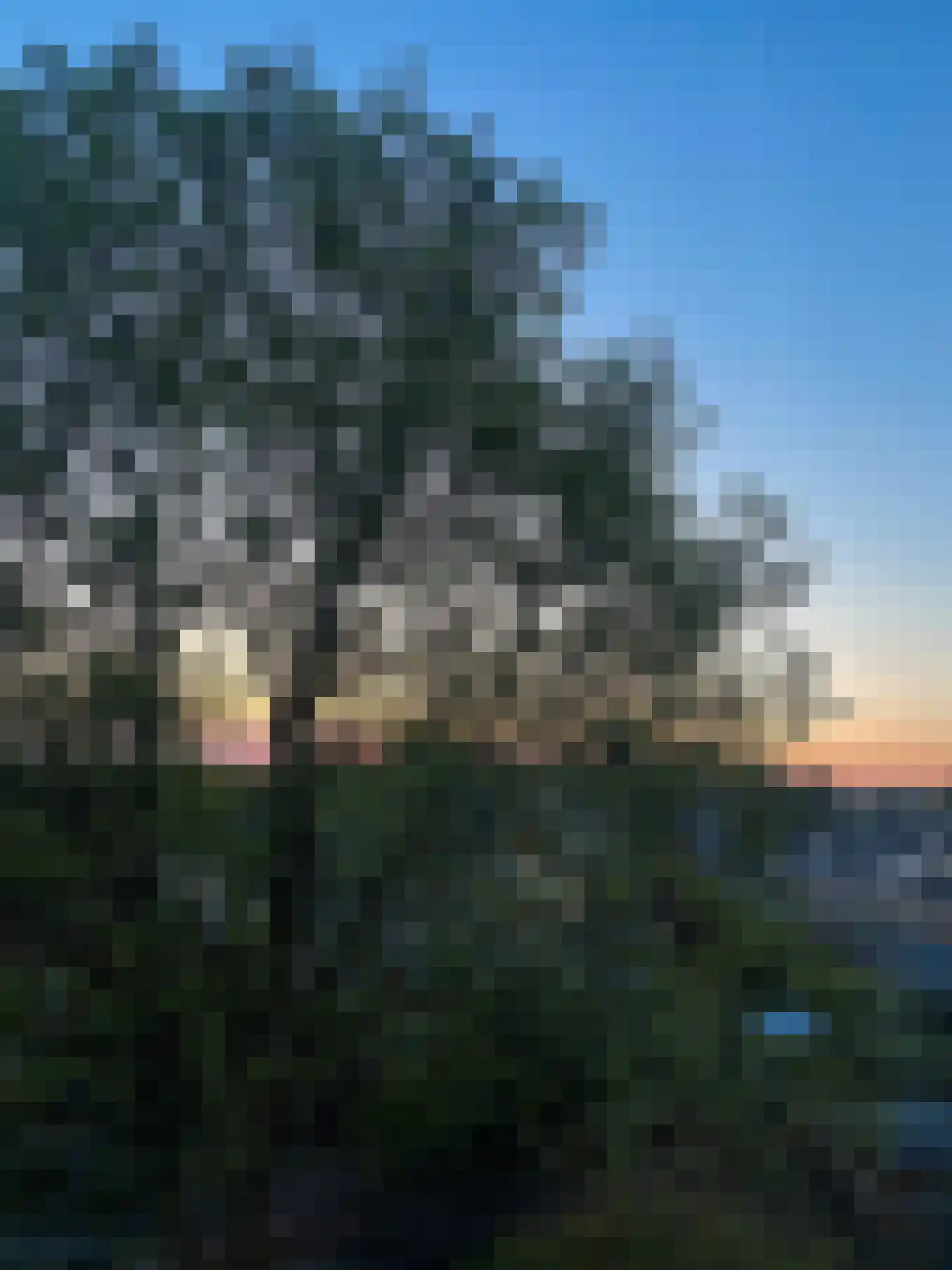 Doorwerthlaan 35 3 Arnhem thumbnail 45