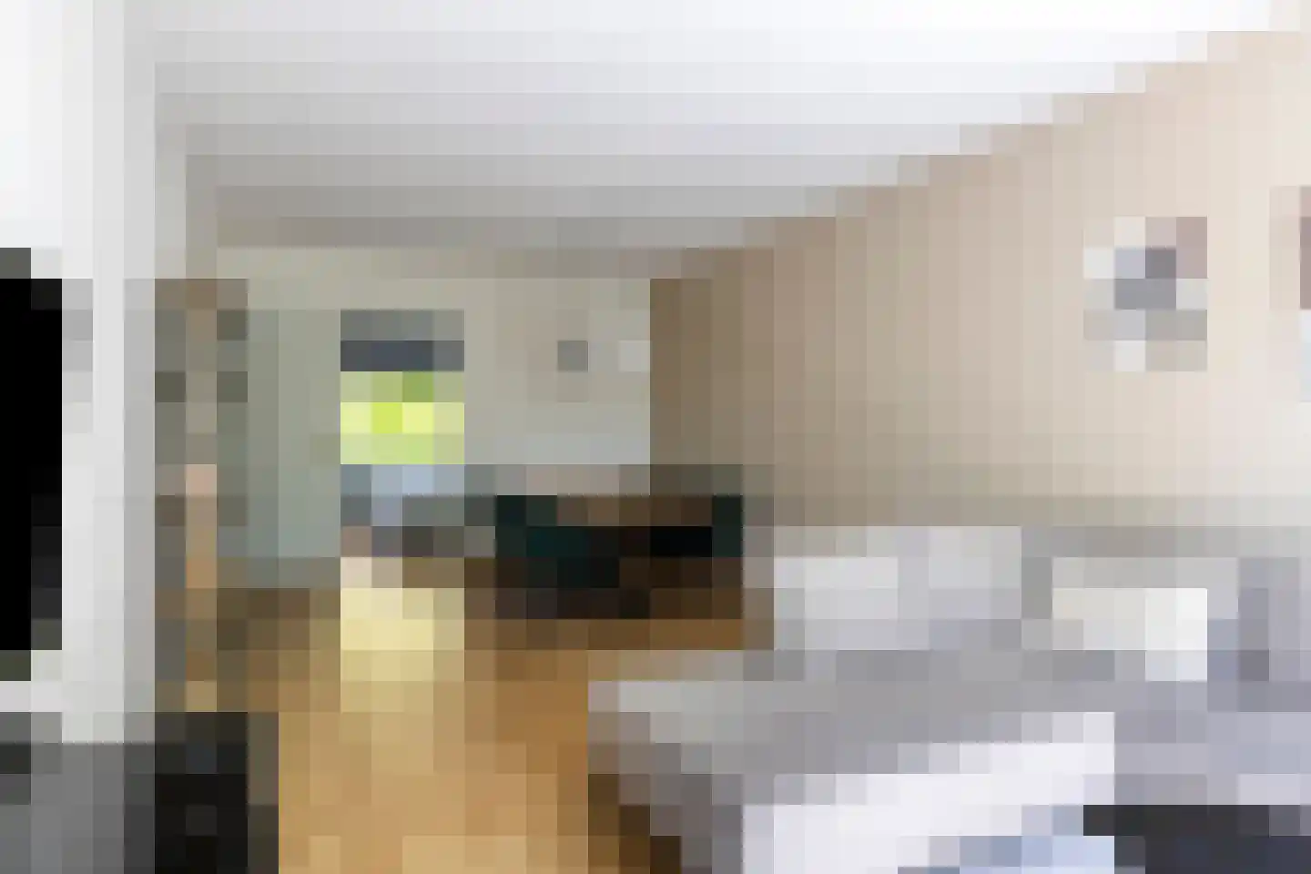 Doorwerthlaan 37 3 Arnhem thumbnail 19