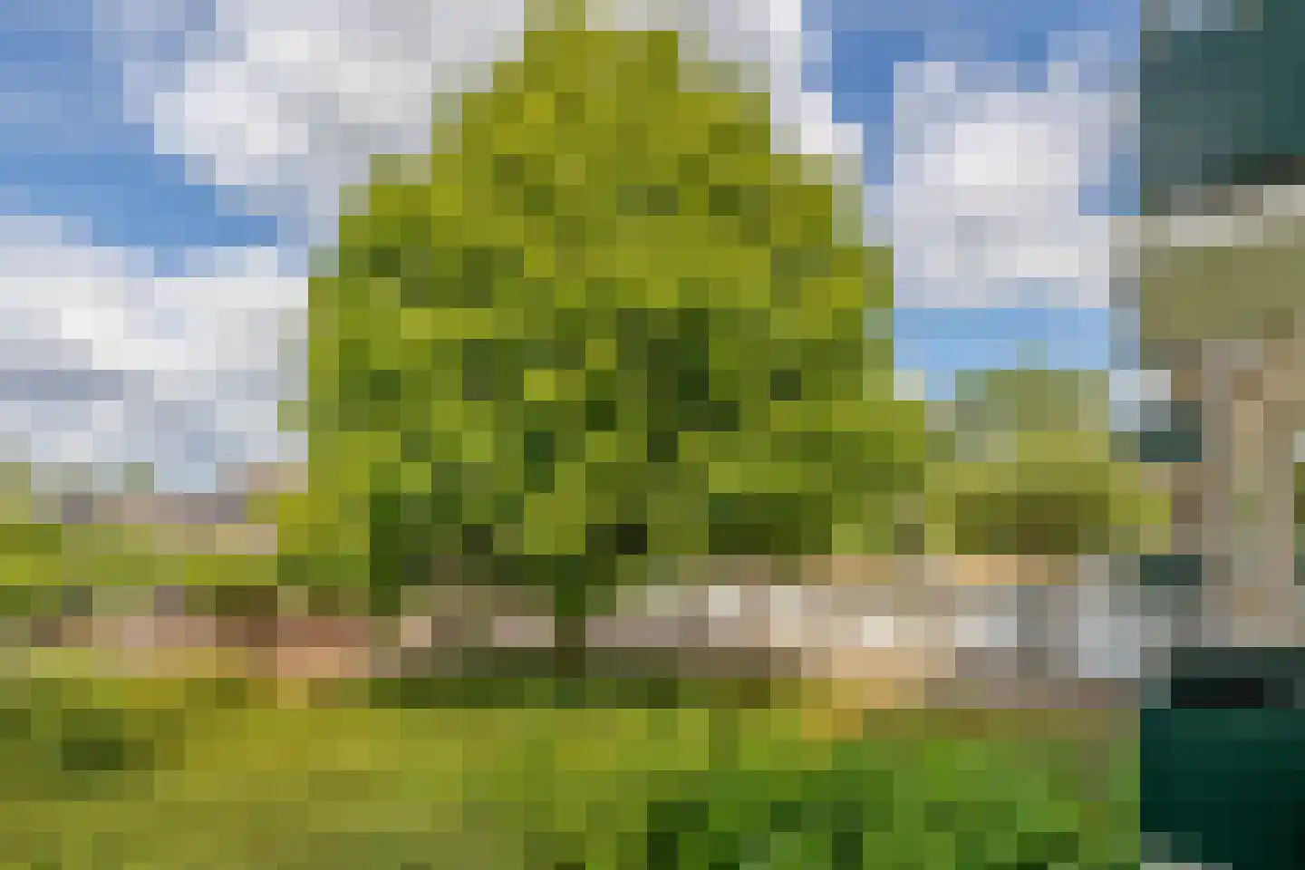 Doorwerthlaan 39 2 Arnhem thumbnail 23