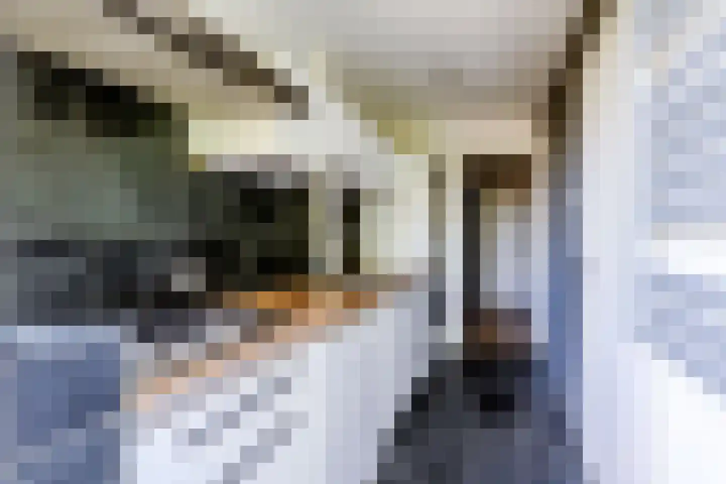 Doorwerthlaan 39 2 Arnhem thumbnail 4
