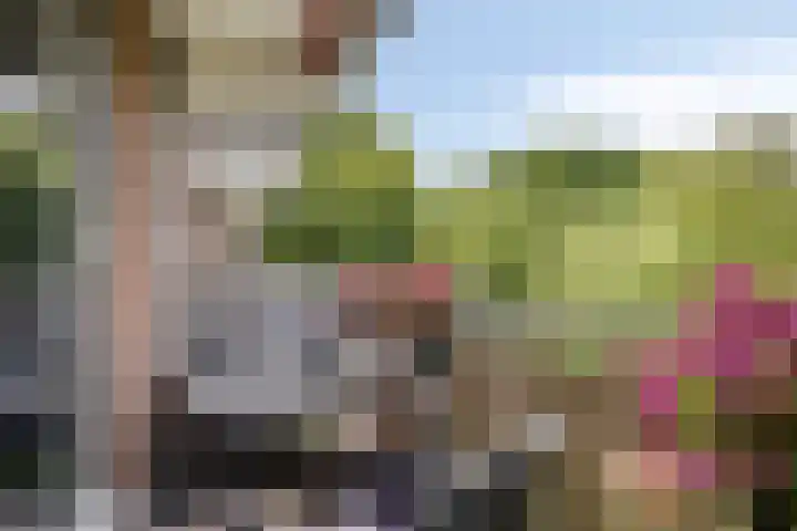 Doorwerthstraat 31 Breda thumbnail 5