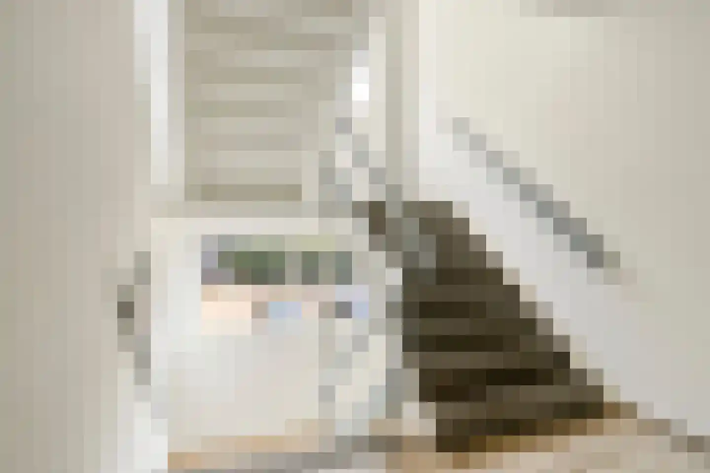 Doorwerthstraat 41 Breda thumbnail 15