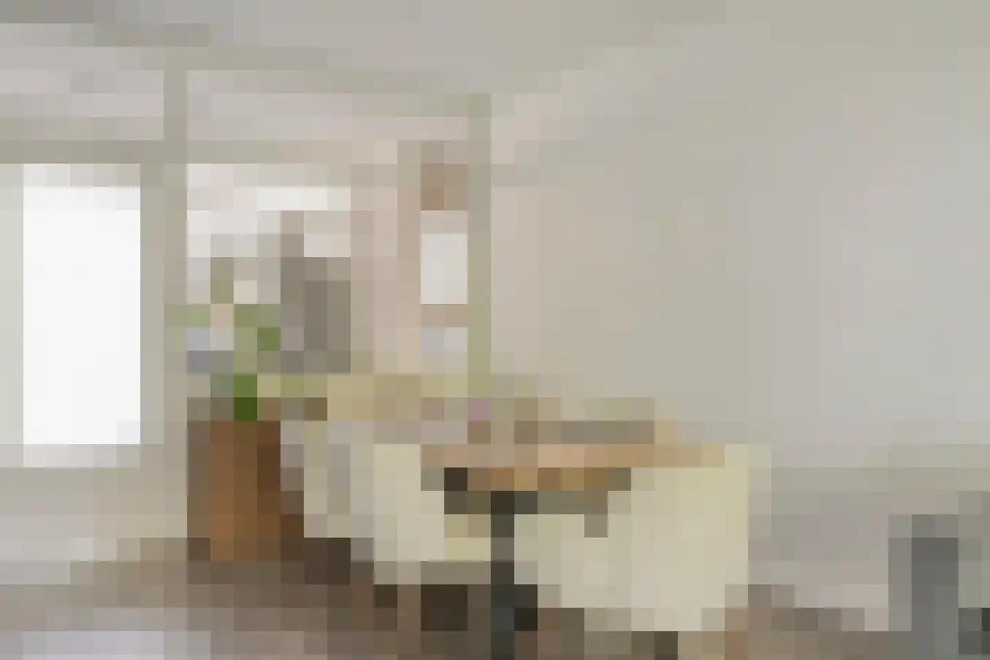 Doorwerthstraat 41 Breda thumbnail 6