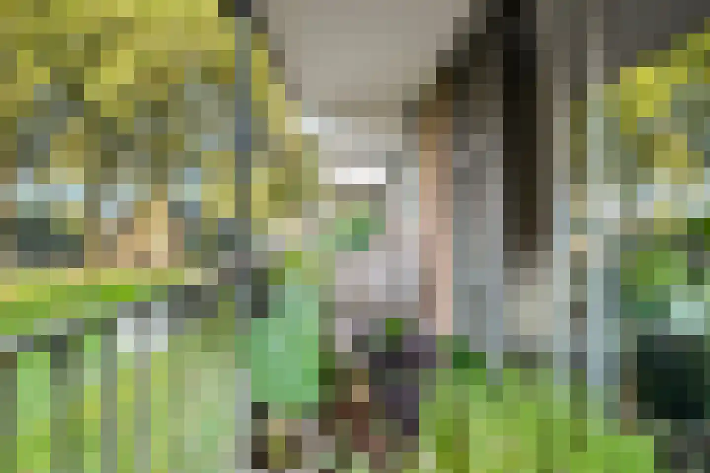 Doorwerthstraat 41 Breda thumbnail 7