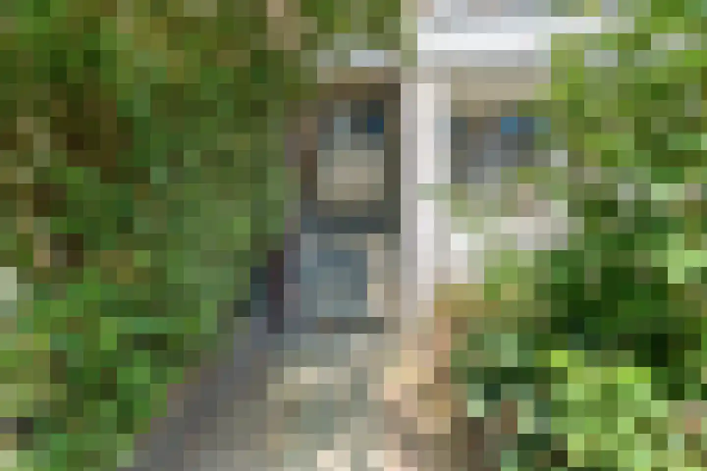 Doorwerthstraat 7 Den Haag thumbnail 5