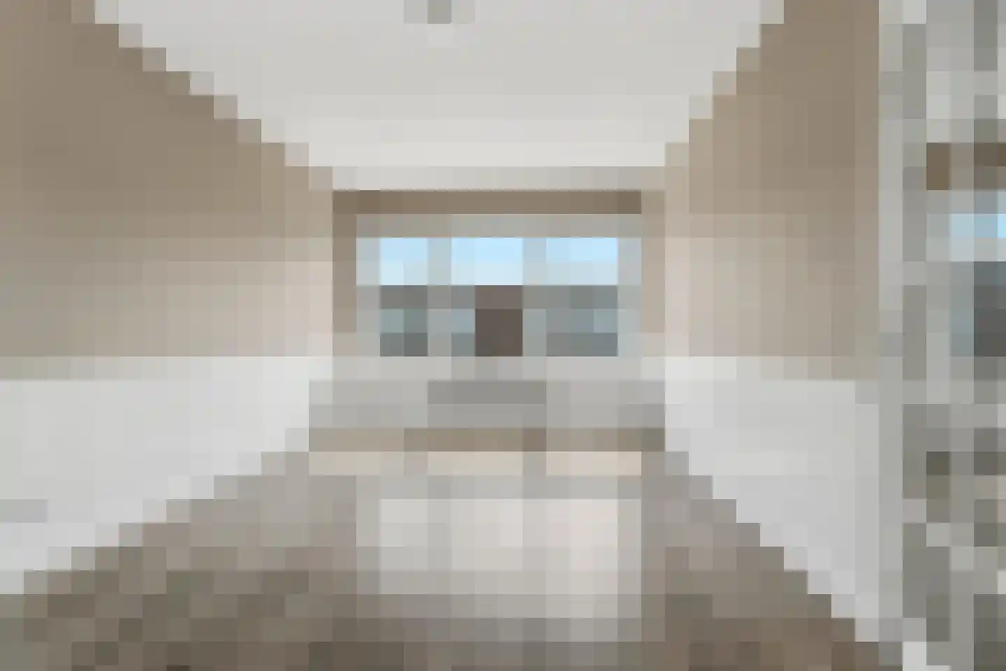 Doorwerthstraat 7 Den Haag thumbnail 9