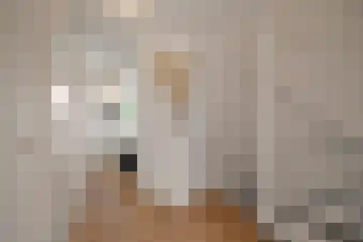 Doorzwin 1113 Julianadorp thumbnail 10