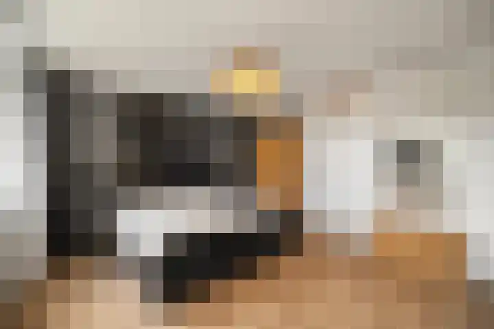 Doorzwin 1113 Julianadorp thumbnail 11
