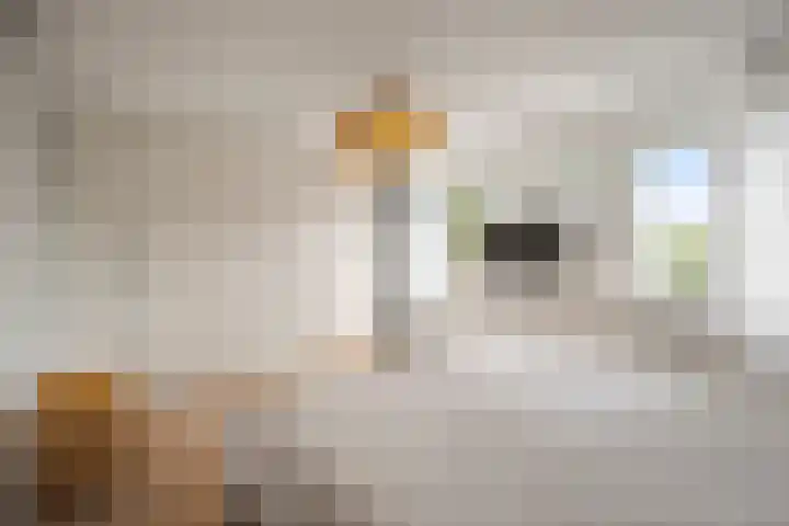 Doorzwin 1113 Julianadorp thumbnail 12