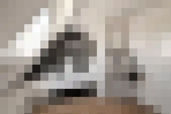 Doorzwin 1113 Julianadorp thumbnail 18