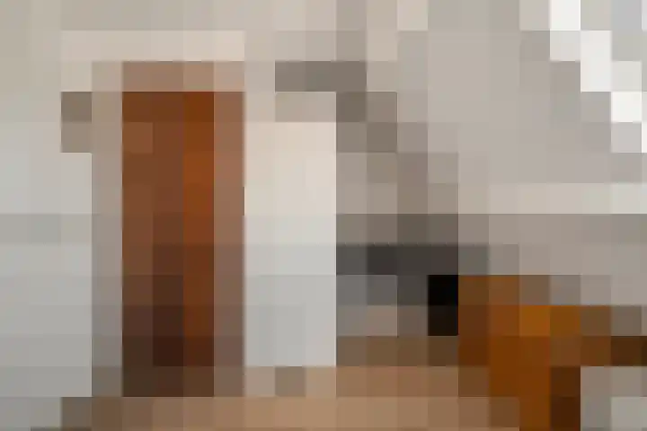 Doorzwin 1113 Julianadorp thumbnail 19