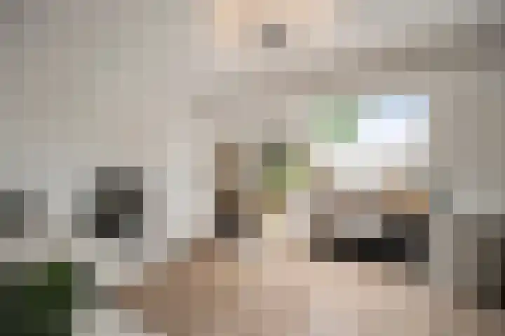 Doorzwin 1113 Julianadorp thumbnail 20
