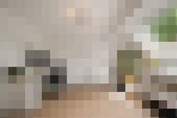 Doorzwin 1113 Julianadorp thumbnail 21